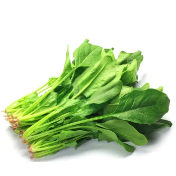 Spinach (42)-2327287-55331.webp